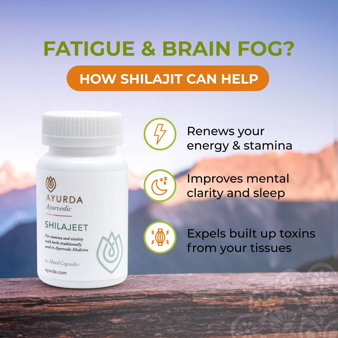 Shilajit (Shilajeet) 60 Capsules - Energy & Stamina