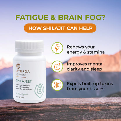 Shilajit (Shilajeet) 60 Capsules - Energy & Stamina