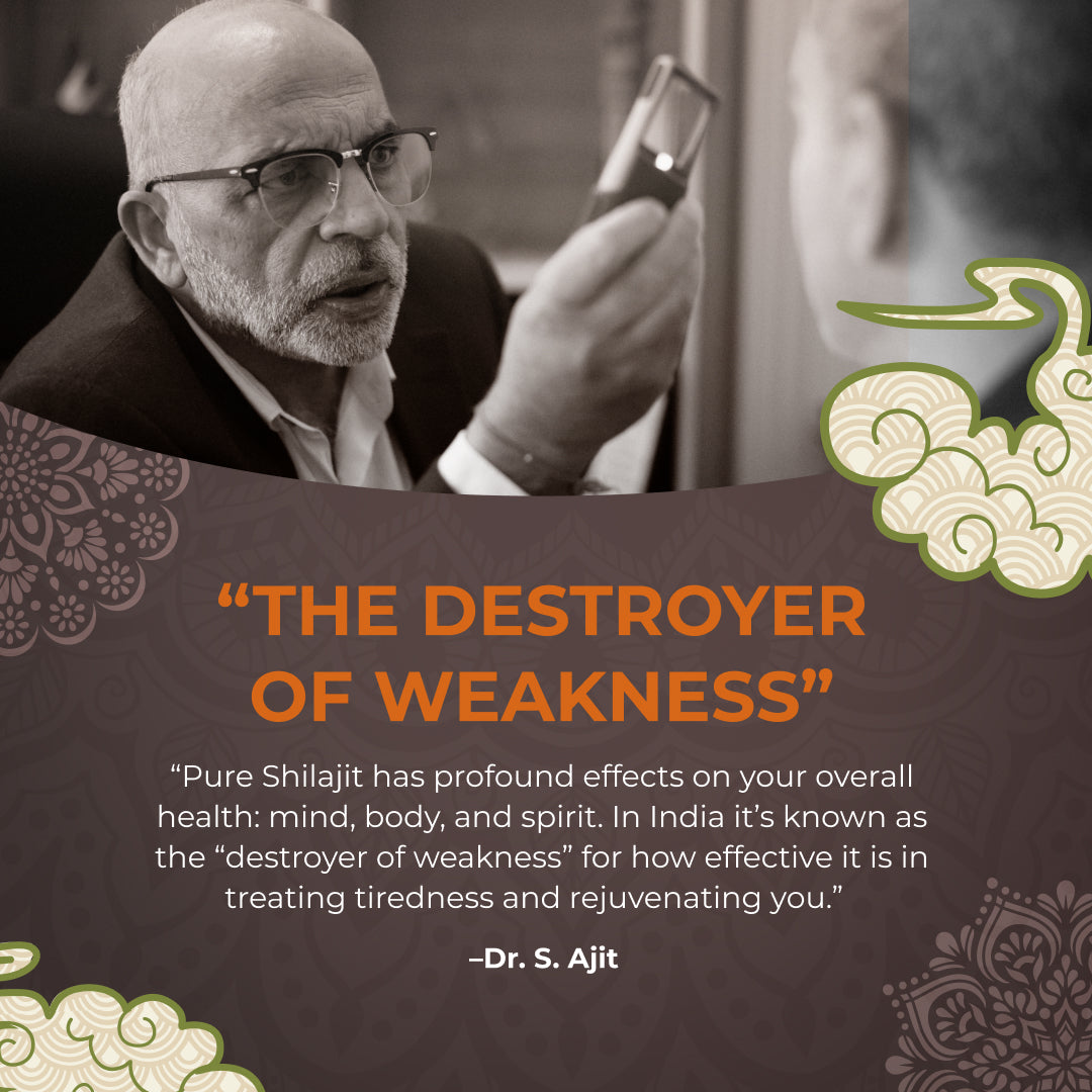 Shilajit (Shilajeet) 60 Capsules - Energy & Stamina