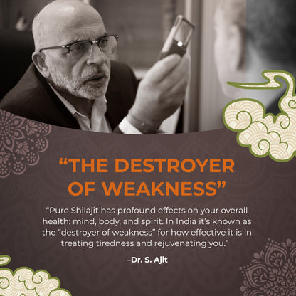 Shilajit (Shilajeet) 60 Capsules - Energy & Stamina