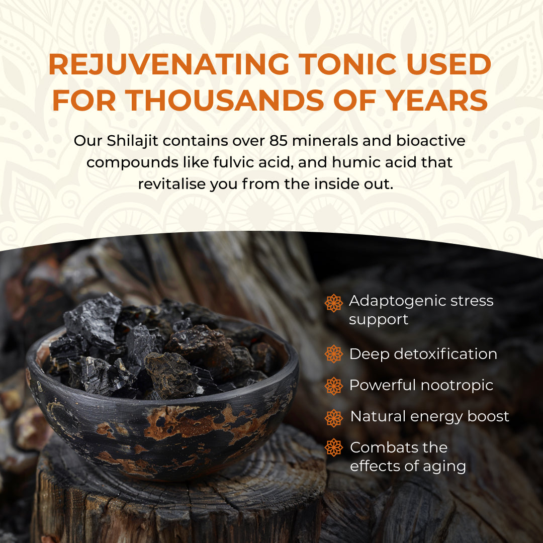 Shilajit (Shilajeet) 60 Capsules - Energy & Stamina