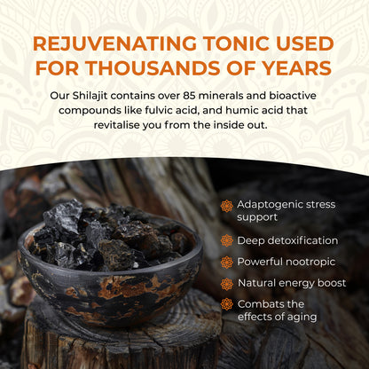 Shilajit (Shilajeet) 60 Capsules - Energy & Stamina